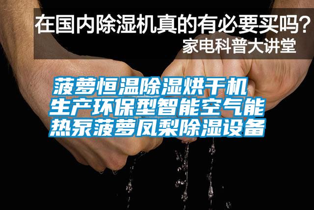 菠蘿恒溫除濕烘干機 生產(chǎn)環(huán)保型智能空氣能熱泵菠蘿鳳梨除濕設備