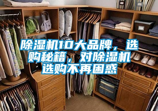 除濕機10大品牌，選購秘籍，對除濕機選購不再困惑