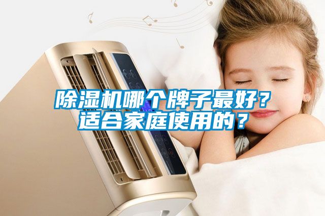 除濕機哪個牌子最好？適合家庭使用的？