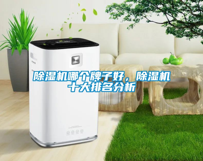 除濕機哪個牌子好，除濕機十大排名分析