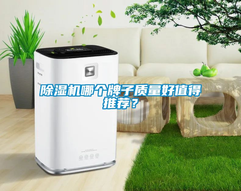 除濕機哪個牌子質量好值得推薦？