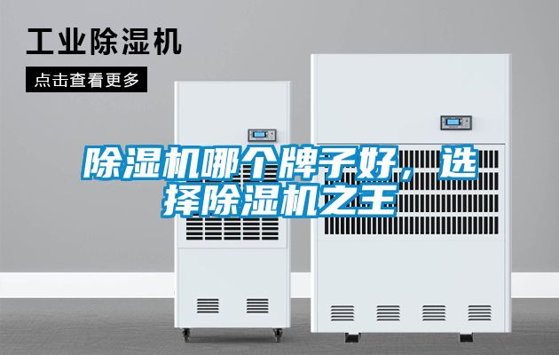 除濕機哪個牌子好，選擇除濕機之王