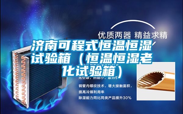 濟南可程式恒溫恒濕試驗箱(恒溫恒濕老化試驗箱)