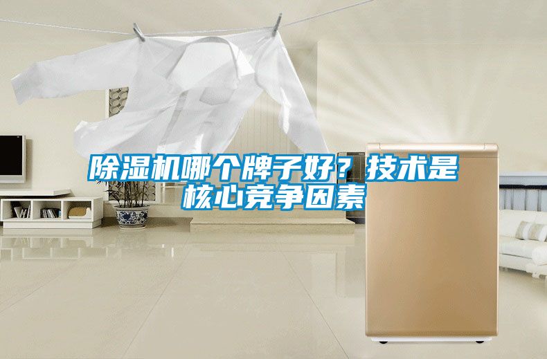 除濕機哪個牌子好？技術是核心競爭因素