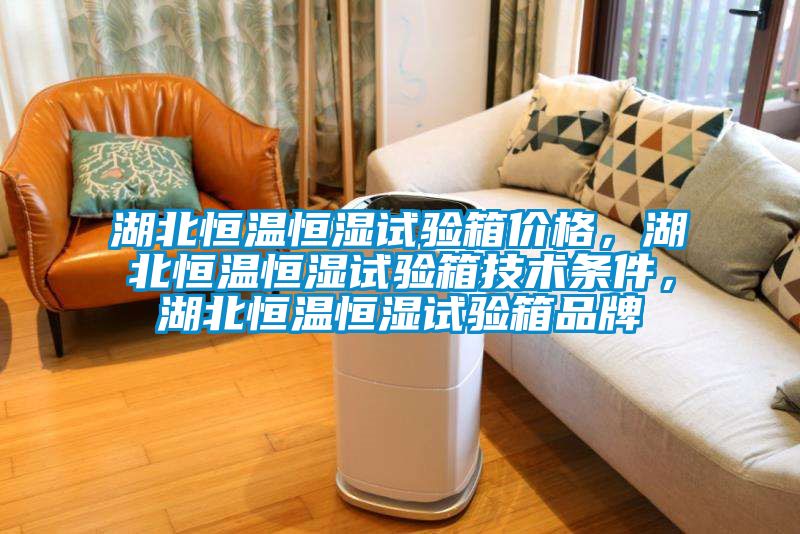 湖北恒溫恒濕試驗箱價格，湖北恒溫恒濕試驗箱技術(shù)條件，湖北恒溫恒濕試驗箱品牌