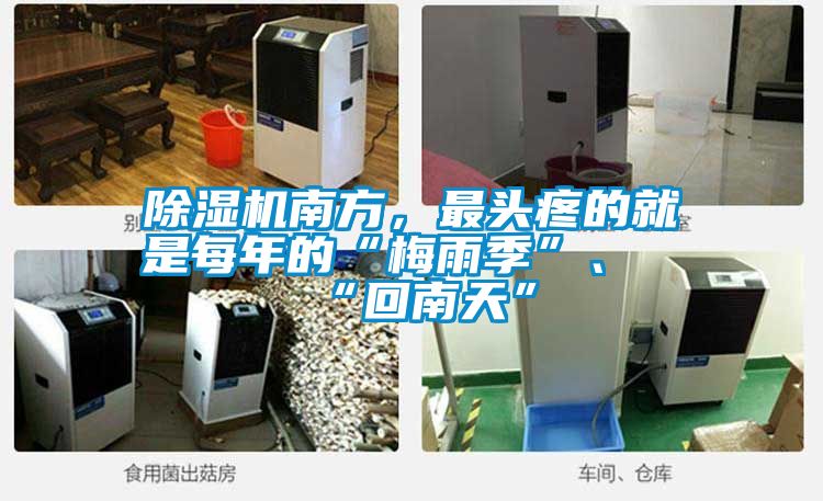 除濕機南方，最頭疼的就是每年的“梅雨季”、“回南天”