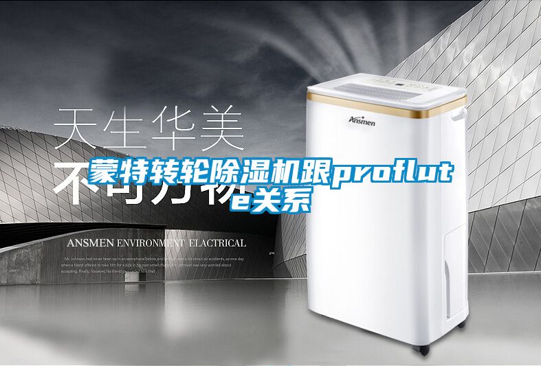 蒙特轉(zhuǎn)輪除濕機跟proflute關(guān)系
