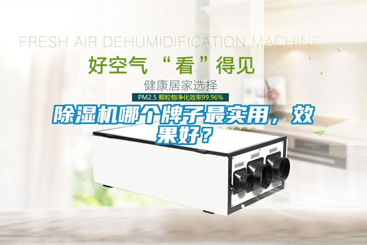 除濕機哪個牌子最實用，效果好？