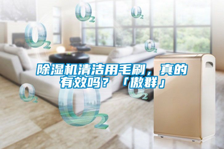 除濕機(jī)清潔用毛刷，真的有效嗎？「傲群」