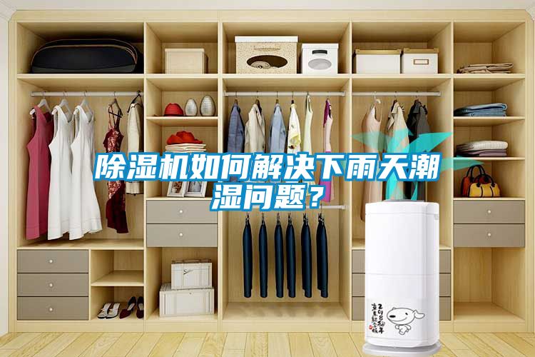 除濕機(jī)如何解決下雨天潮濕問題？