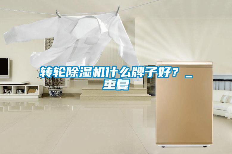 轉輪除濕機什么牌子好？_重復