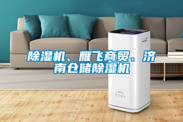 除濕機(jī)、雁飛商貿(mào)、濟(jì)南倉儲除濕機(jī)