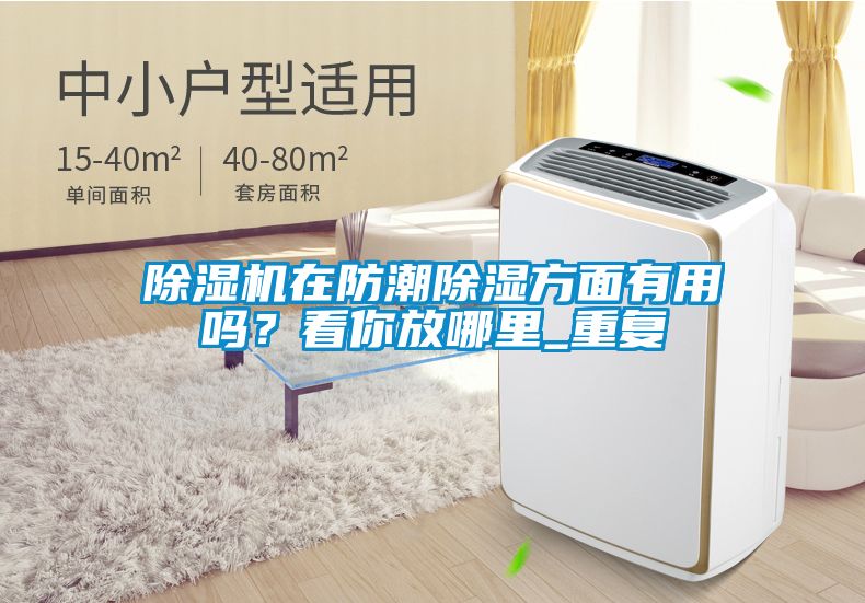 除濕機在防潮除濕方面有用嗎？看你放哪里_重復