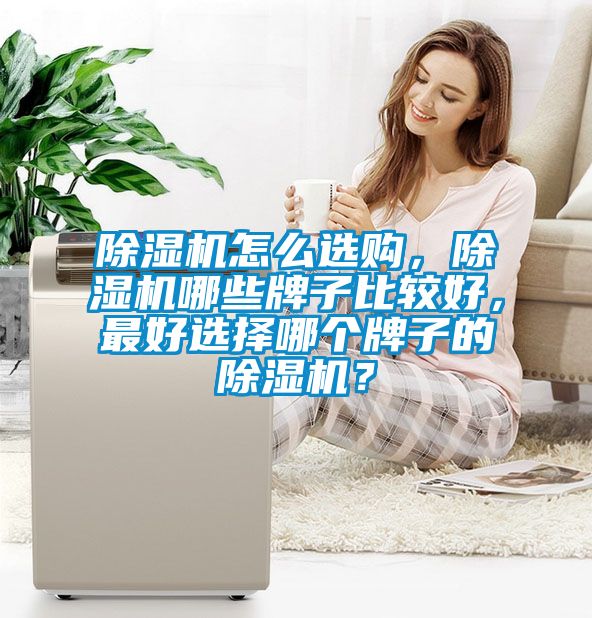 除濕機怎么選購，除濕機哪些牌子比較好，最好選擇哪個牌子的除濕機？