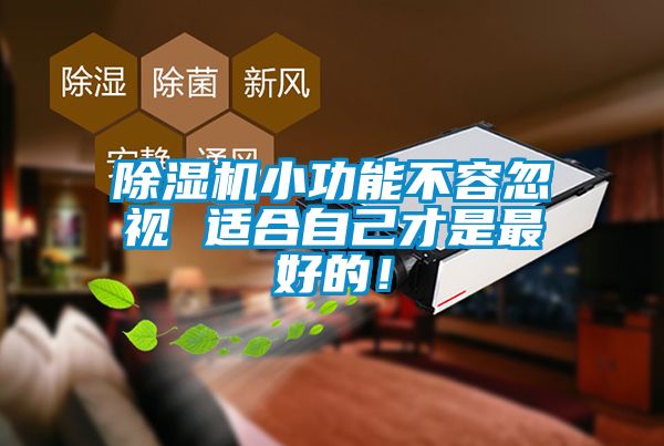 除濕機小功能不容忽視 適合自己才是最好的！