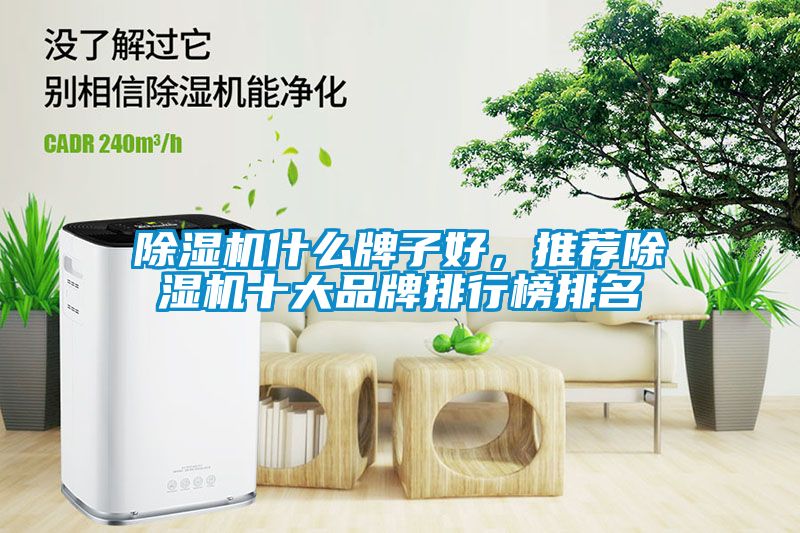 除濕機(jī)什么牌子好，推薦除濕機(jī)十大品牌排行榜排名