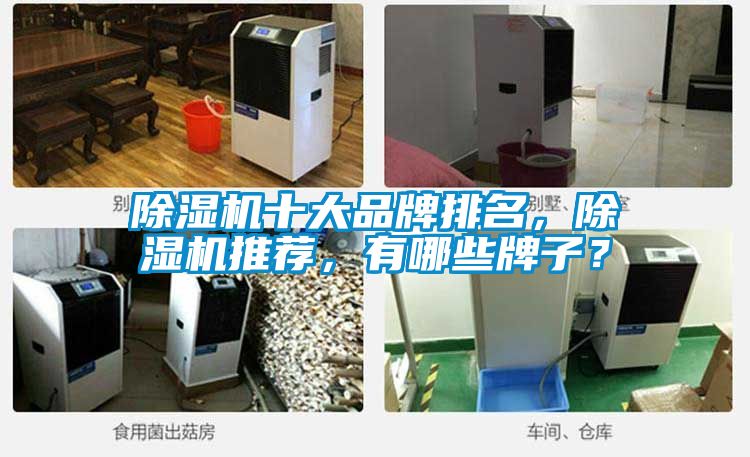 除濕機十大品牌排名，除濕機推薦，有哪些牌子？