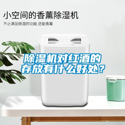 除濕機對紅酒的存放有什么好處？