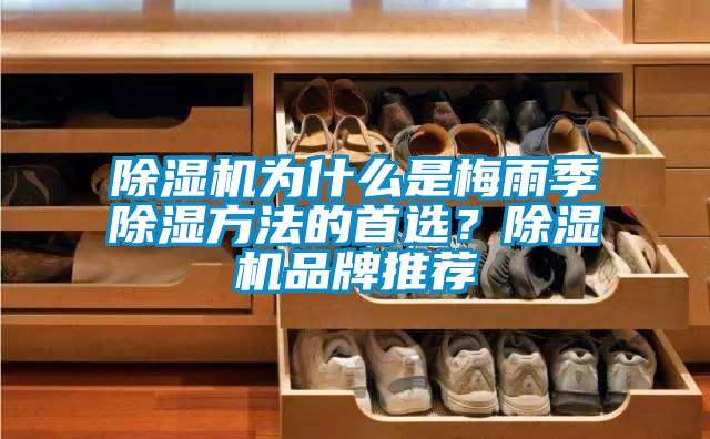 除濕機為什么是梅雨季除濕方法的首選？除濕機品牌推薦