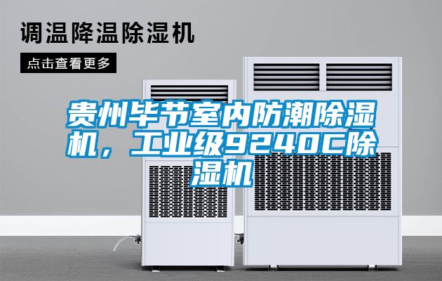 貴州畢節室內防潮除濕機，工業級9240C除濕機
