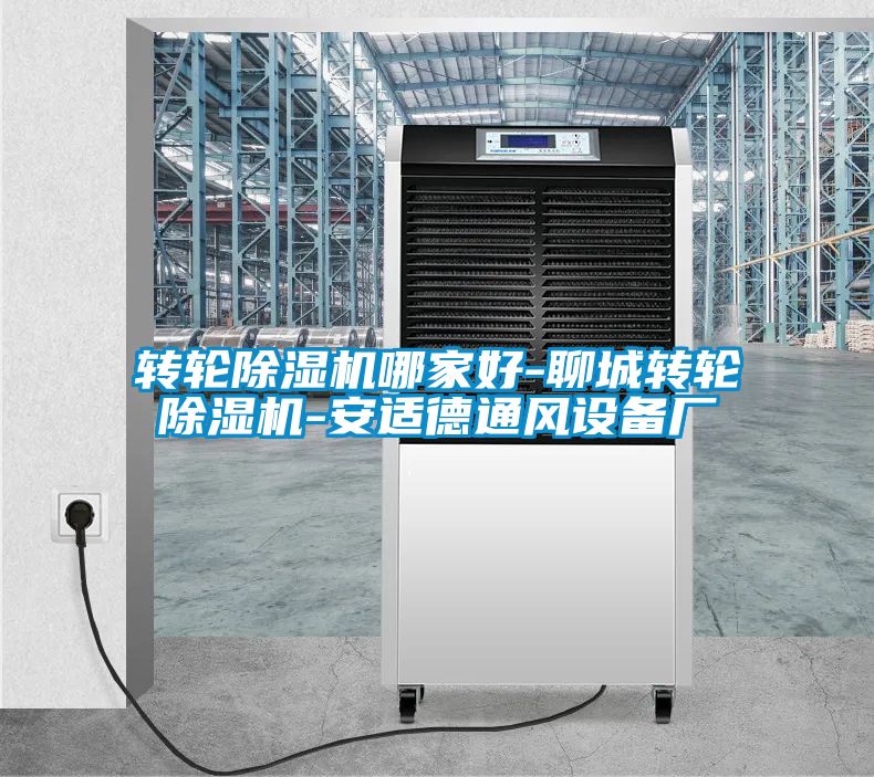 轉(zhuǎn)輪除濕機哪家好-聊城轉(zhuǎn)輪除濕機-安適德通風設備廠