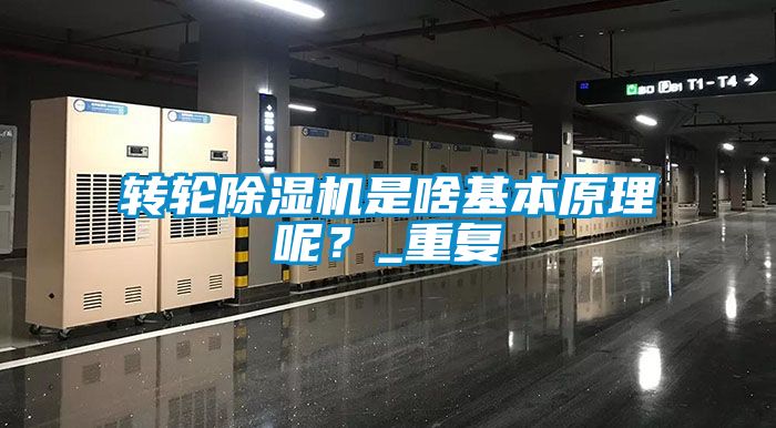 轉輪除濕機是啥基本原理呢？_重復