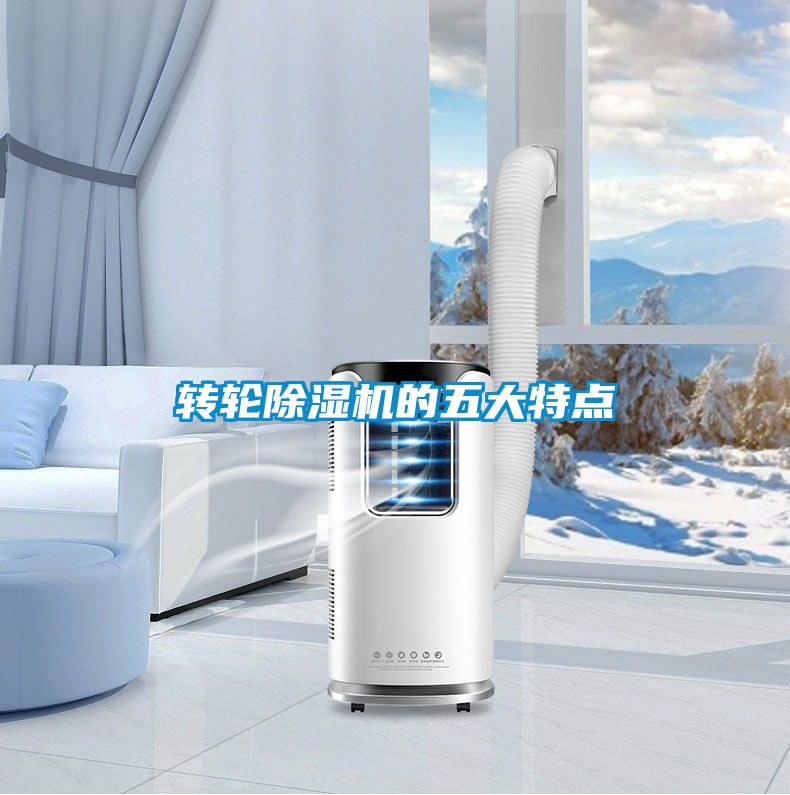 轉(zhuǎn)輪除濕機(jī)的五大特點