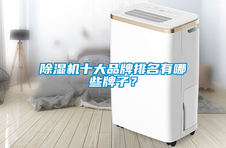 除濕機十大品牌排名有哪些牌子？