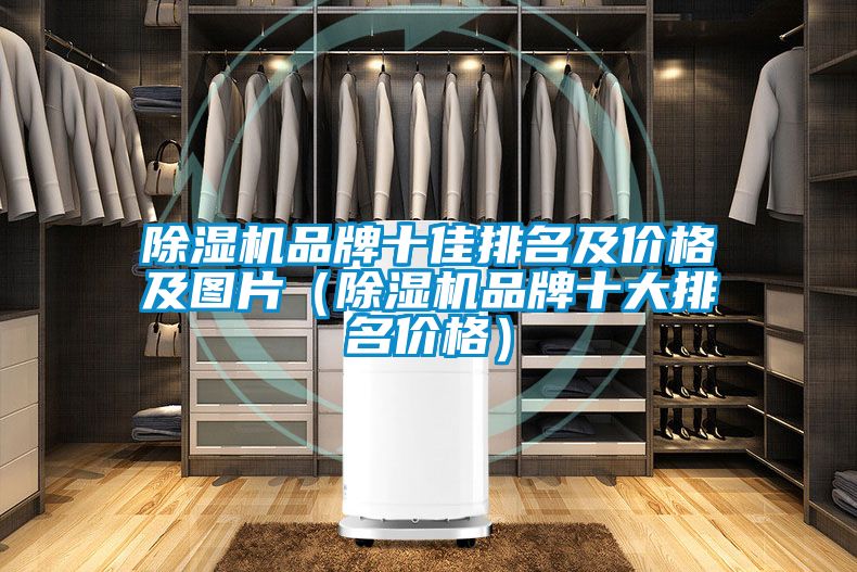 除濕機(jī)品牌十佳排名及價格及圖片（除濕機(jī)品牌十大排名價格）
