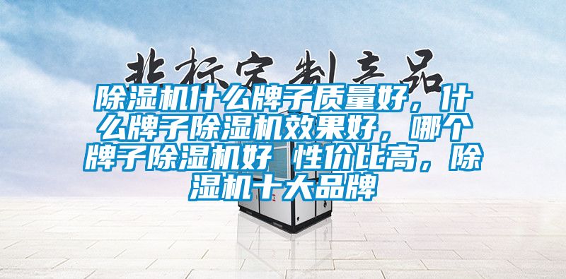 除濕機什么牌子質量好，什么牌子除濕機效果好，哪個牌子除濕機好 性價比高，除濕機十大品牌