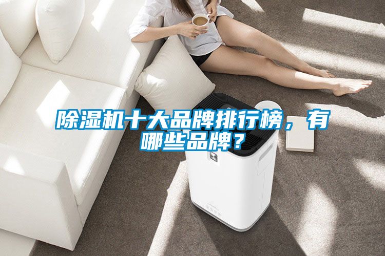 除濕機十大品牌排行榜，有哪些品牌？