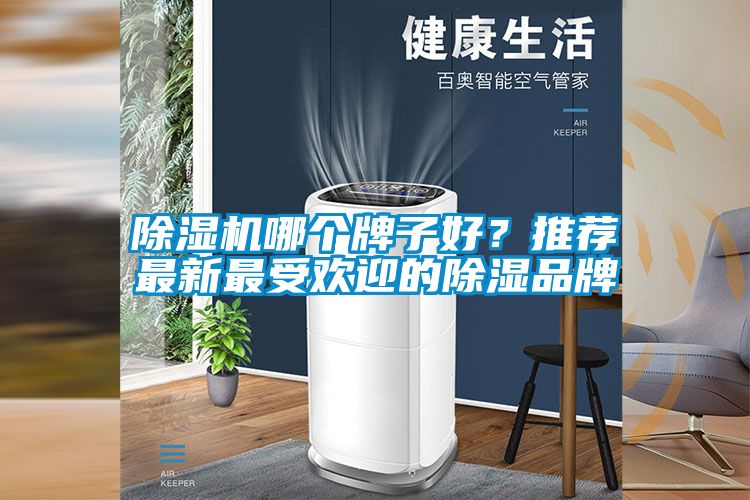 除濕機哪個牌子好？推薦最新最受歡迎的除濕品牌