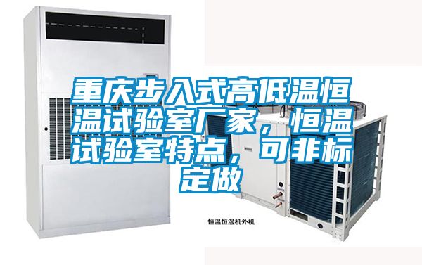 重慶步入式高低溫恒溫試驗室廠家,恒溫試驗室特點,可非標定做