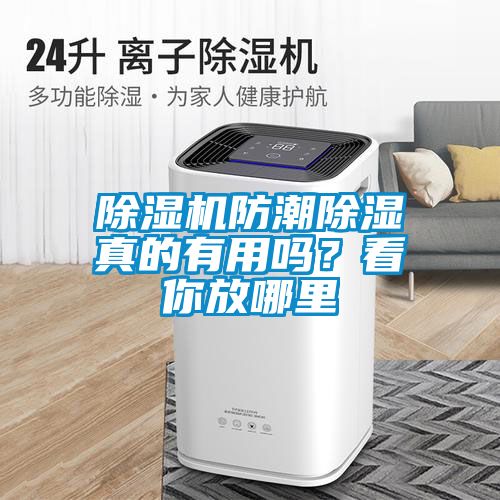 除濕機防潮除濕真的有用嗎？看你放哪里