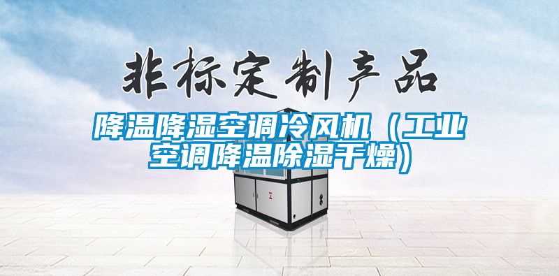 降溫降濕空調(diào)冷風(fēng)機（工業(yè)空調(diào)降溫除濕干燥）