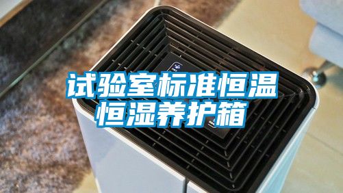 試驗室標(biāo)準(zhǔn)恒溫恒濕養(yǎng)護(hù)箱