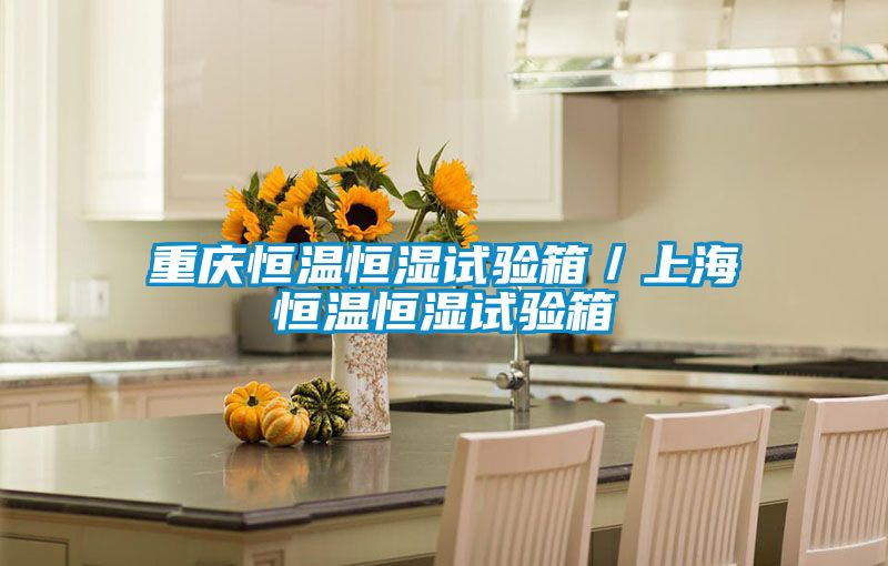 重慶恒溫恒濕試驗箱/上海恒溫恒濕試驗箱