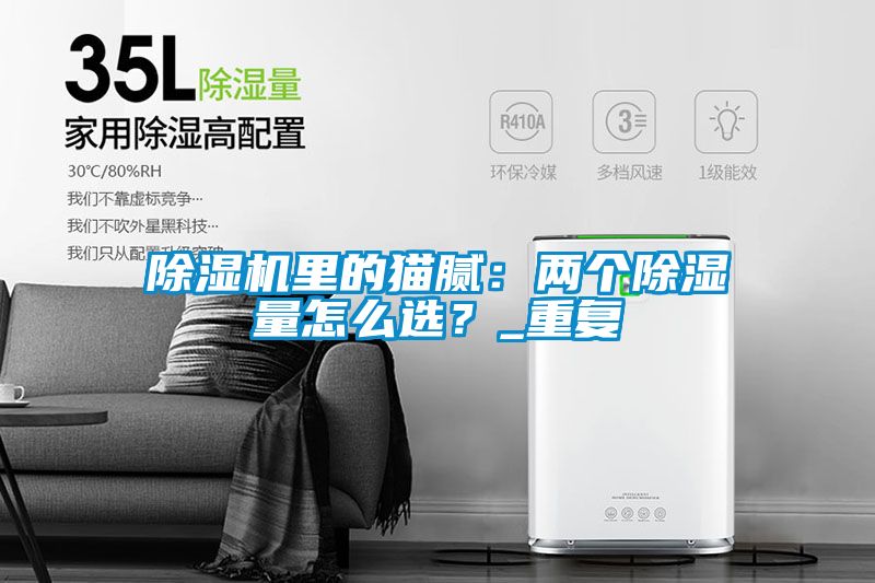 除濕機里的貓膩：兩個除濕量怎么選？_重復(fù)