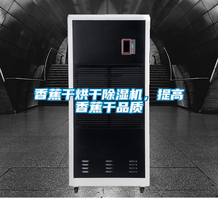 香蕉干烘干除濕機，提高香蕉干品質