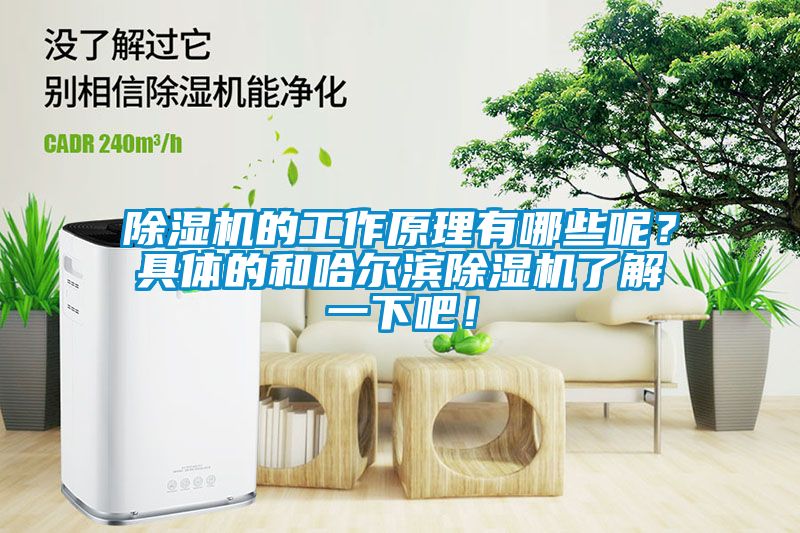 除濕機(jī)的工作原理有哪些呢？具體的和哈爾濱除濕機(jī)了解一下吧！