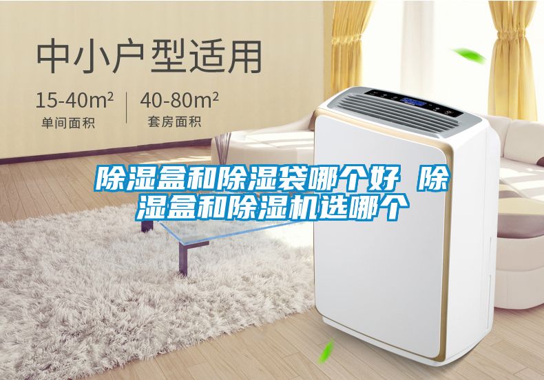 除濕盒和除濕袋哪個好 除濕盒和除濕機(jī)選哪個