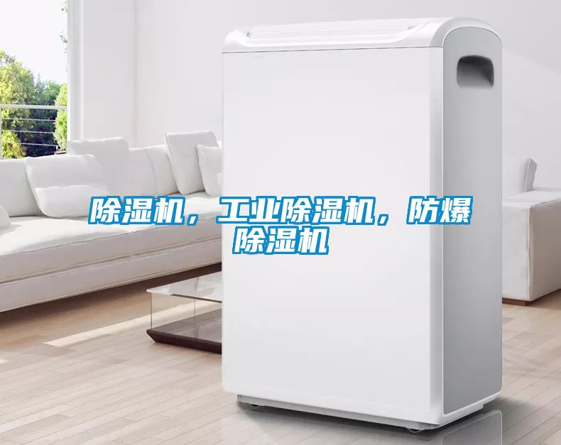 除濕機(jī)，工業(yè)除濕機(jī)，防爆除濕機(jī)