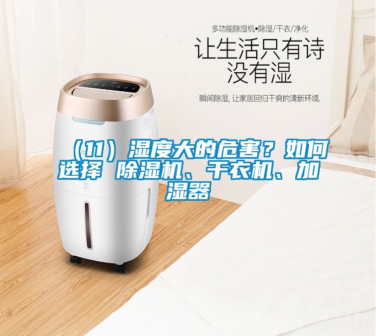 （11）濕度大的危害？如何選擇 除濕機、干衣機、加濕器
