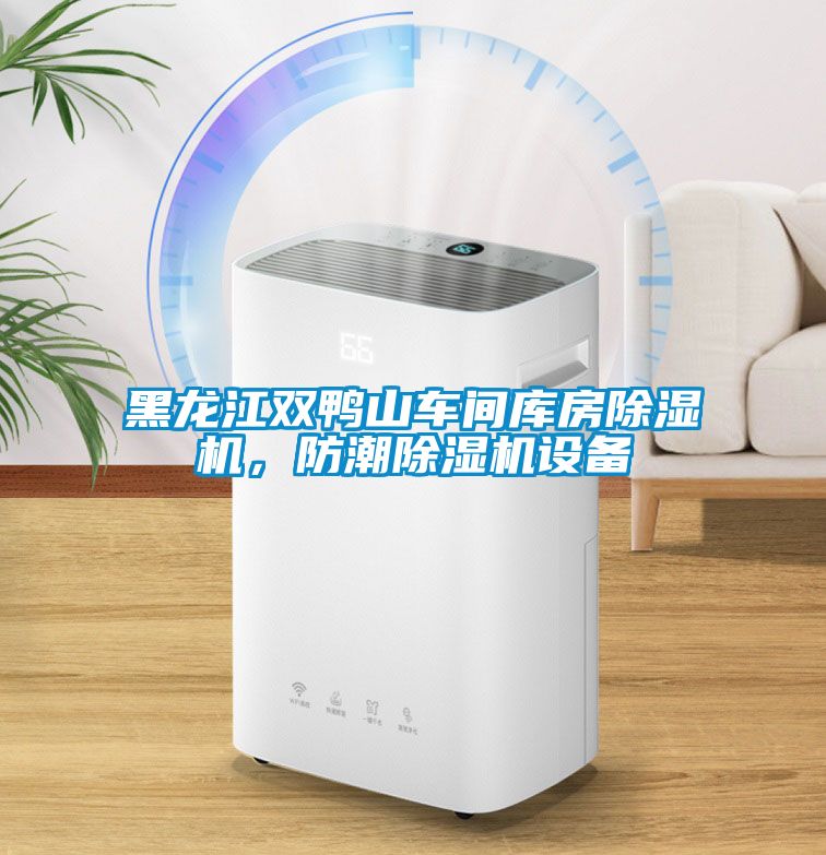 黑龍江雙鴨山車間庫(kù)房除濕機(jī)，防潮除濕機(jī)設(shè)備