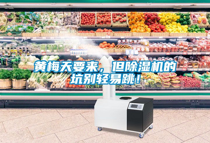 黃梅天要來，但除濕機的坑別輕易跳！