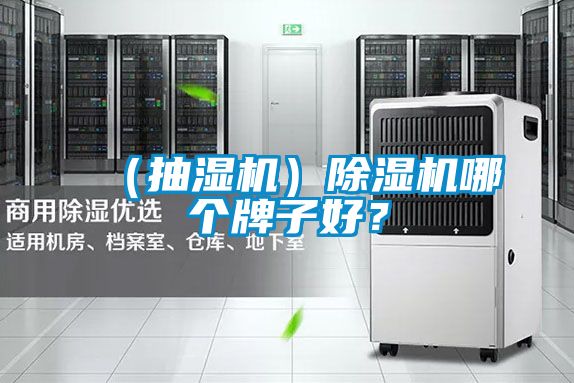 （抽濕機）除濕機哪個牌子好？
