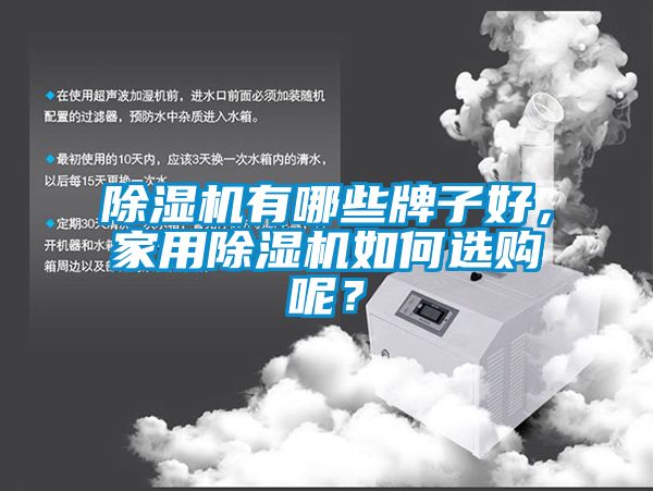 除濕機有哪些牌子好，家用除濕機如何選購呢？
